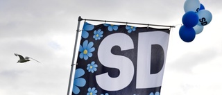 SD måste skärpa kontrollen