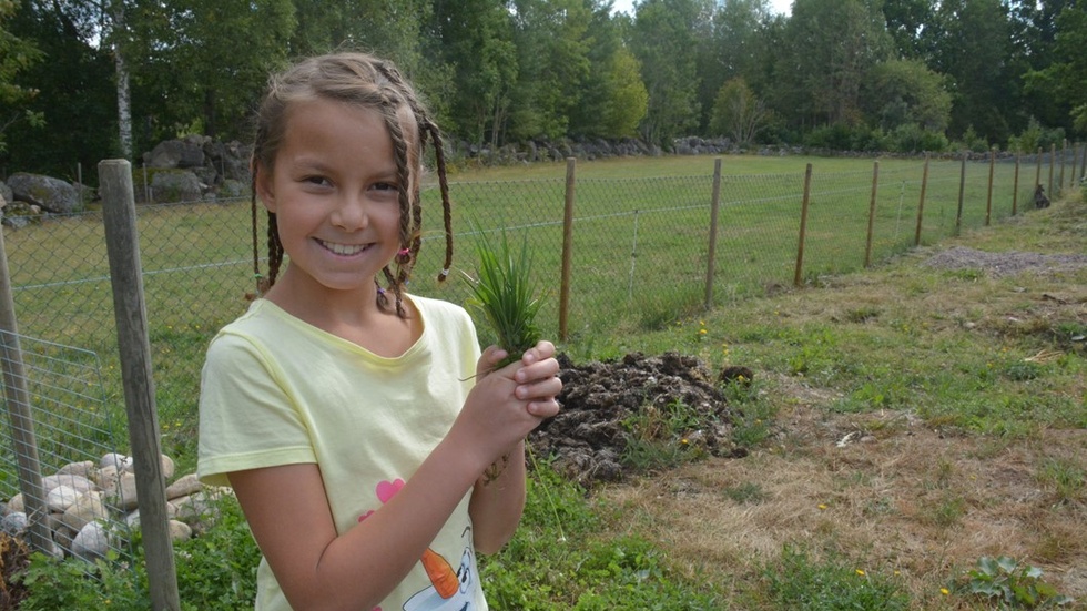 Jasmine Tao Gustavsson, 9 år, försökte mata kängurun med gräs.