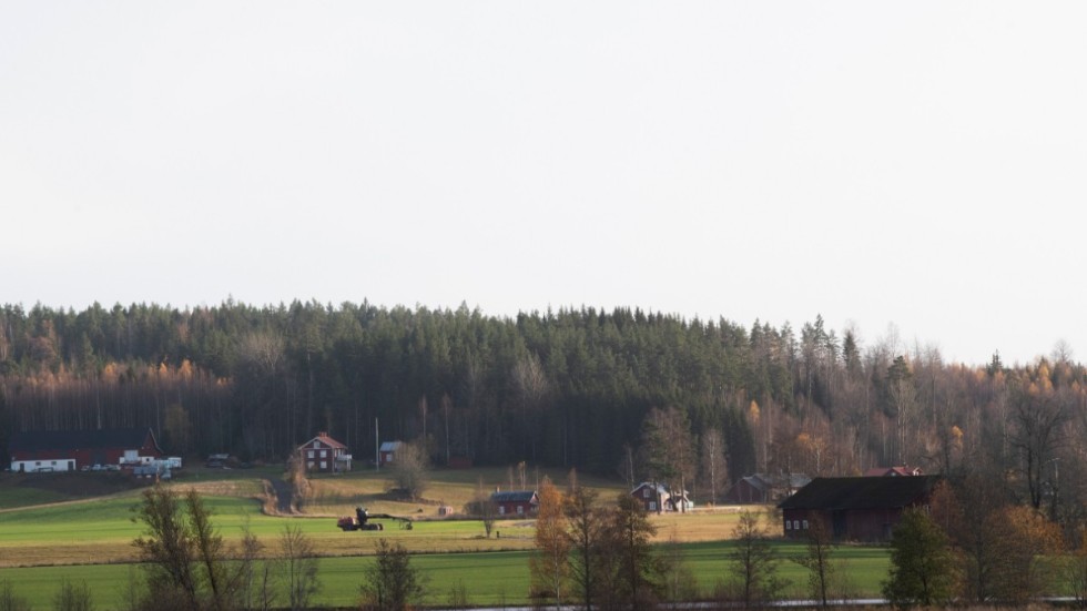 Partierna tävlar om att vinna landsbygdens röster. Arkivbild.