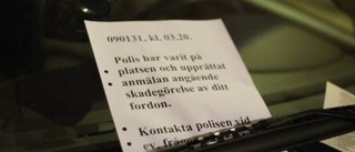 20-åring gripen -hoppade på bilar