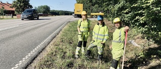 Här ska fyra nya fartkameror sättas upp – men en femte blev för dyr: "Kan ta flera år"