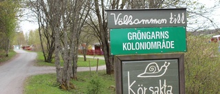 Tjuvar på koloniområde