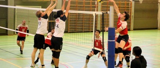 Stark debutsäsong av Piteå i volleyboll: "Jättestor skillnad"