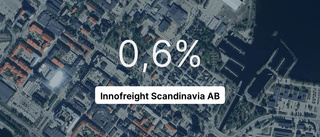 Vinst för Innofreight Scandinavia AB