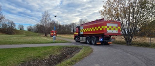 Trodde att det brann i skogen – men så var det inte