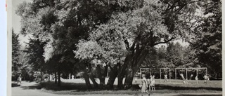 Folkparken i svartvitt från förr