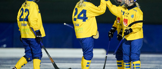 Damernas bandy-VM i Stockholm nästa år