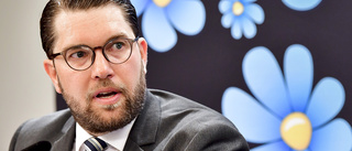  SD är ett hot mot regeringen - inte mot demokratin