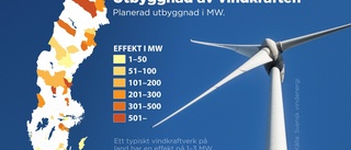 Trots elkrisen – tvärnit för ny vindkraft