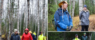 Visade unika skogen i Bureå – lockar utrotningshotad fågel • Så kan markägare bidra mer: ”Kommer nog att dräpa någon gran”