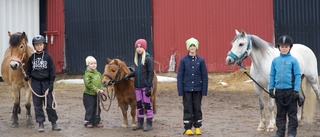 Oro efter kommunens besked om att sälja ridanläggningen: "Inte troligt att det byggs en ny"