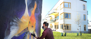 Invigde öns största park för lek och graffiti