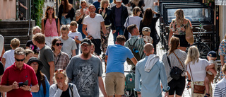 Fransson: "Var går gränsen för turism på Gotland"