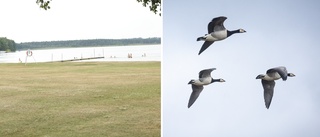 Kommunen måste ta läget på Strandbadet på allvar