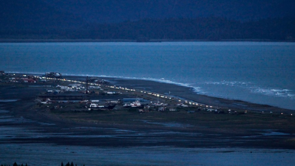 Arkivbild från Homer, Alaska, i närheten av skalvområdet.