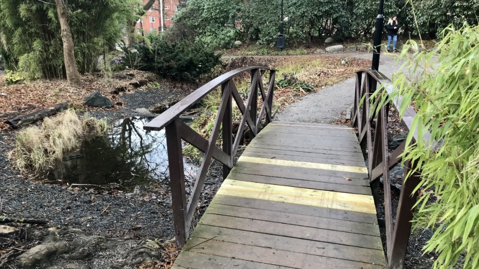 Mannen hade stannat till med sin cykel i Stadsparken, när han oprovocerat fick en smäll i ansiktet. Bilden är tagen vid ett annat tillfälle.