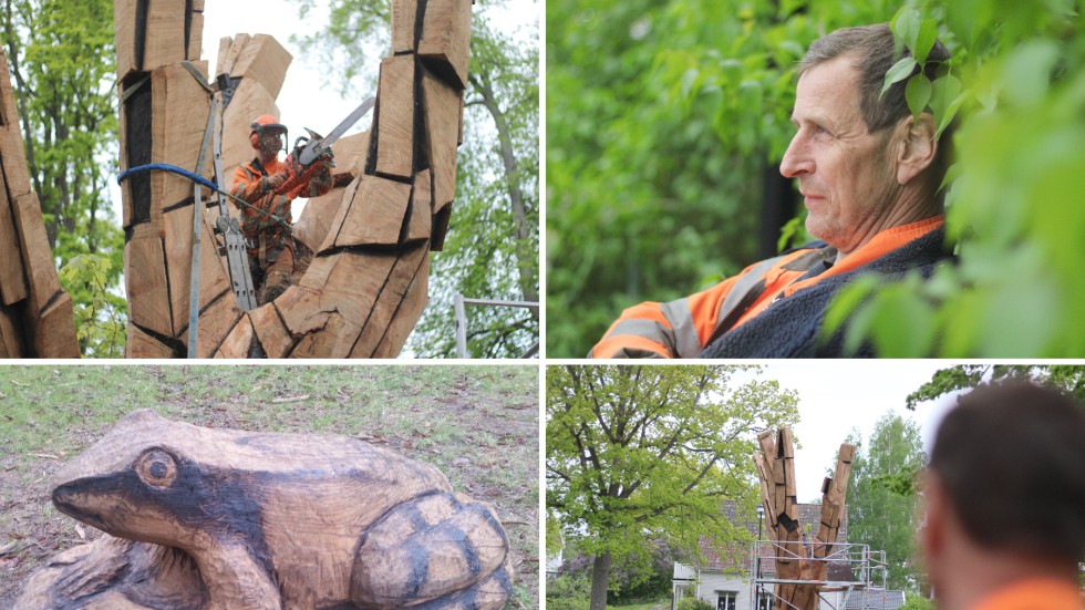 Bert Davidsson är en kreativ person som bland annat skapar sina verk med hjälp av sin motorsåg. Grodan nere till vänster finns att beskåda i Grenadjärparken i Linköping.