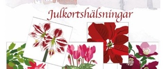 Julkort 5-pack