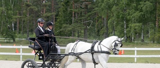 Team från Gotland tävlar i VM 