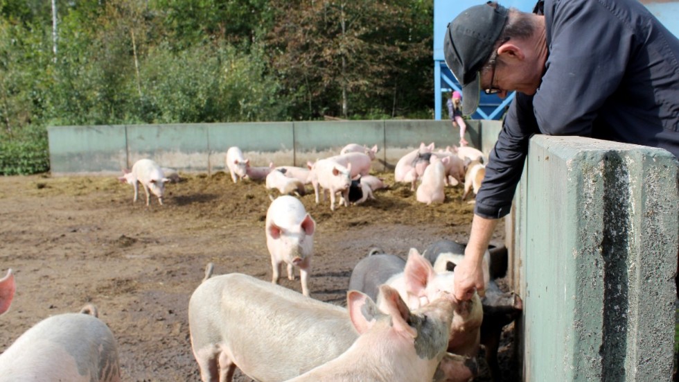 Leveranserna till kommunerna utgör ungefär 15 procent av företagets omsättning. "Jag ser det bara som att jag ska komma tillrätta med det hela. Men nu har vi för mycket att göra", säger Håkan Jonsson.