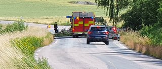 Här ligger det stora trädet – rakt över hela vägbanan