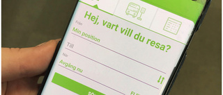 Hon har samlat in 106 namn för fler bussar