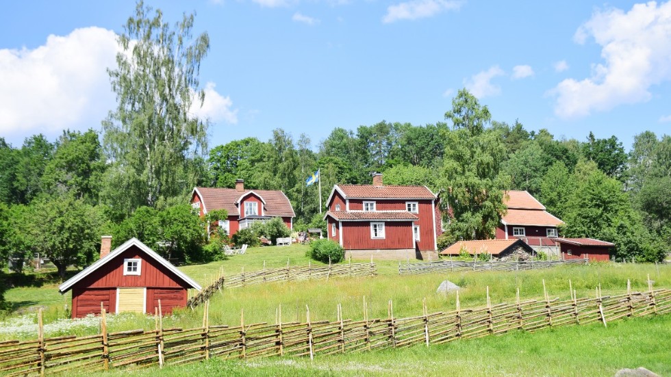 Familjerna som sköter om gården i Katthult växlar veckovis, och har fått förvarna varandra om det minskade antalet turister. 