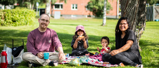 Sjöparken – en trevlig park bredvid Malån: "Den är perfekt för barnen"