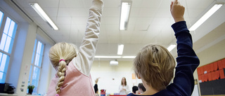 Den misslyckade skolan – nu måste man sätta ner foten