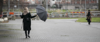 SMHI:s prognos: Varken sol eller snö i sikte