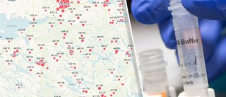 Så många har testats positivt för covid-19 där du bor