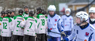 Klart: Ingen division 1-bandy i vinter