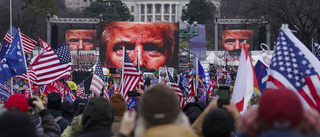 Nu ska senaten avgöra om Trump är skyldig