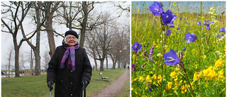 Hon har ett blommigt förslag: "Det är marken jag vill förändra"