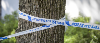 Barn och vuxen funna döda i Sandviken