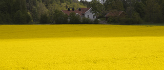  Agera lokalt för klimatet NU!