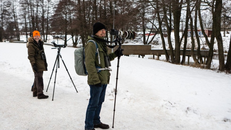 Uppsalabon Göran Ocklind tog med sig sitt stora objektiv för att kunna få riktigt bra bilder på den långväga besökaren.