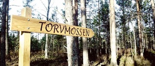 Rakt över mossen