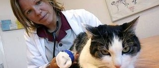 Fler platser vid veterinärprogrammet