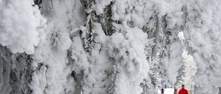 Så djupt är snötäcket i Uppland