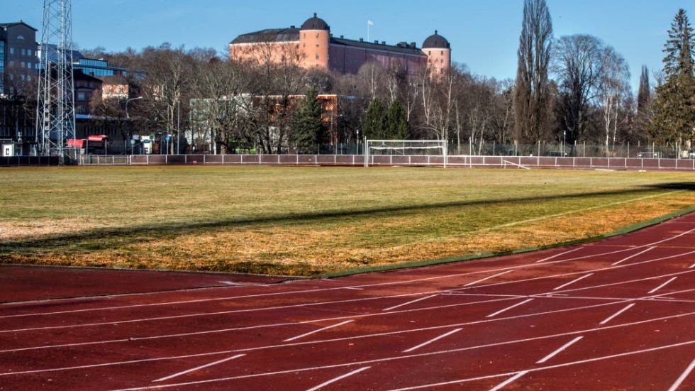 Ny gräsmatta. Just nu satsar Uppsala kommun på andra åtgärder än att byta ut gräsplanen på Studenternas.