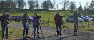 Tjust utmärkte sig i årets tornkamp