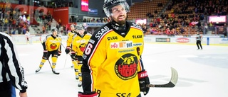 Betyg: Så bra är Luleå Hockey