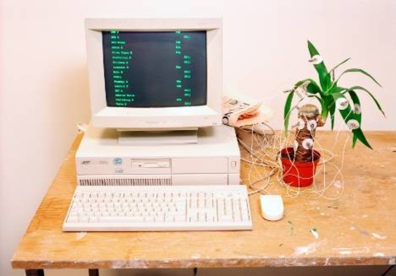 Det bildligt sett odödliga verket Yucca Invest Trading Plant  av Ola Pehrson.