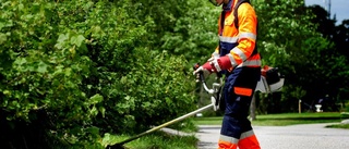 Håbo har många sommarjobb att erbjuda