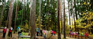 En lekpark med naturupplevelser för alla