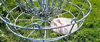 Discgolfbana invigs i Sunnersta