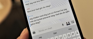 Elever i Västervik: Så använder vi nya AI-robotarna