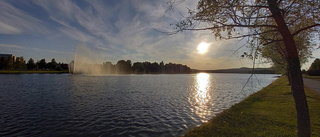 Läsarbilden: Sol och vatten   