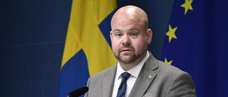 Regeringen vill se mer skyddsjakt på varg